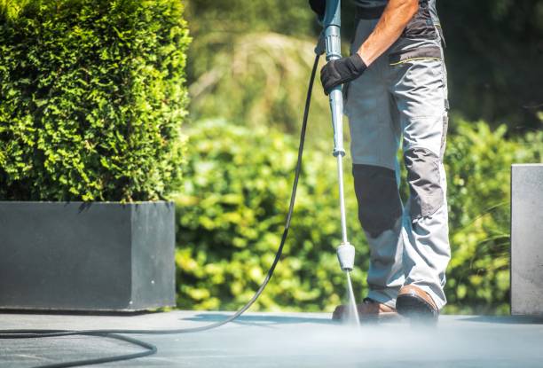 Best Pool Deck Cleaning  in Lake Holiday, VA