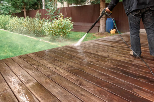 Best Pre-Holiday Cleaning  in Lake Holiday, VA